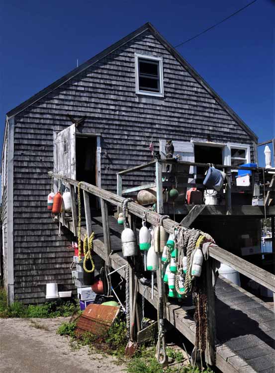 buoys on rail